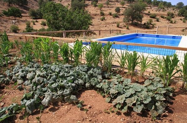 Apartamentos Turisticos Rurales Monte De Las Animas Valdepenas de Jaen Dış mekan fotoğraf